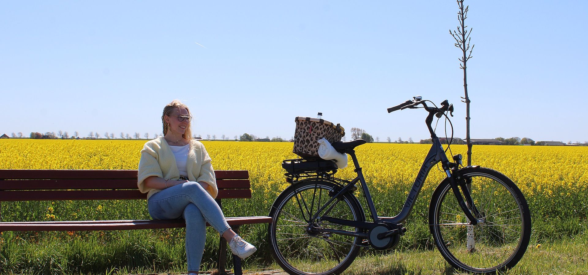 fahrradlicht kinderfahrrad woom 1 - 12 Zoll | im Abo Color:Peyote - Slate Gary Guppy Maxi Lakes Free 26 MD