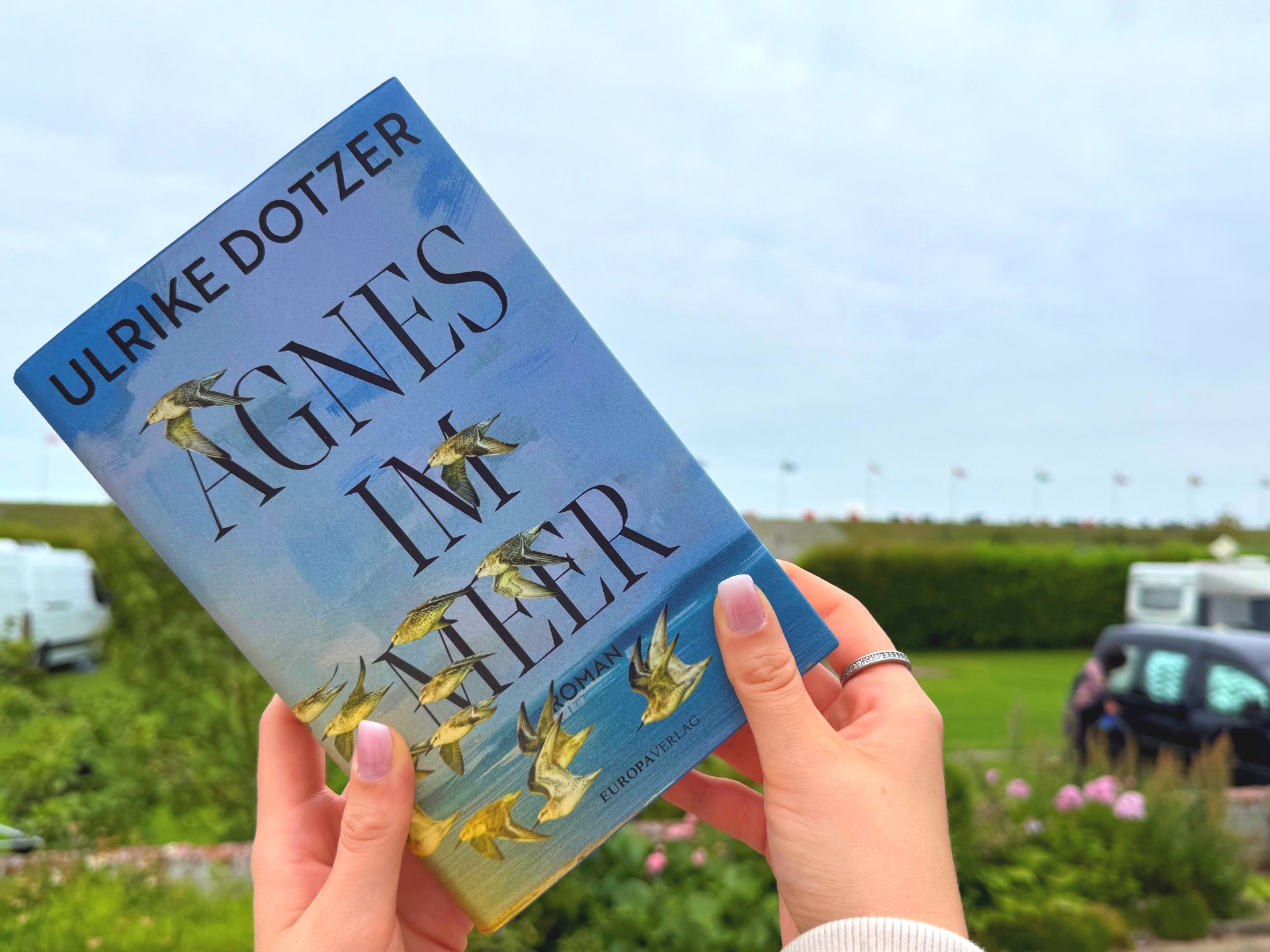 Buchcover des Romans Agnes im Meer vor dem Trischendiek